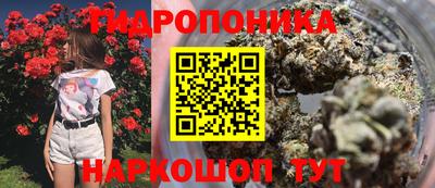 дживик Жуковский
