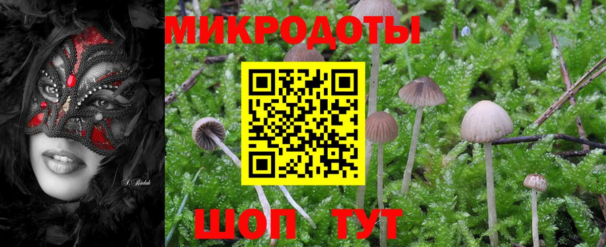 Кушва  Псилоцибиновые грибы мицелий  Вход с VPN 